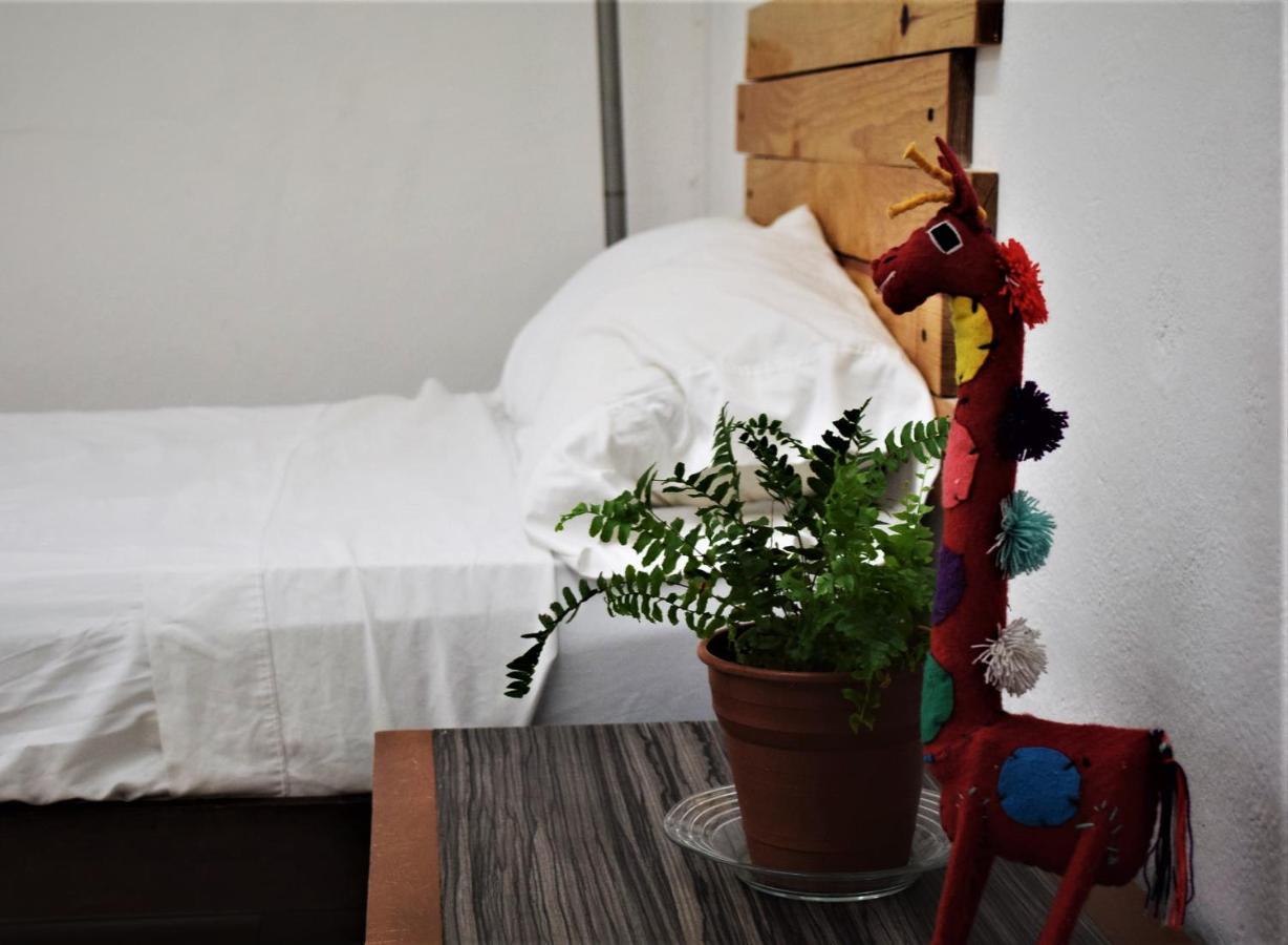 Hostal Casa Bohemia Мерида Экстерьер фото